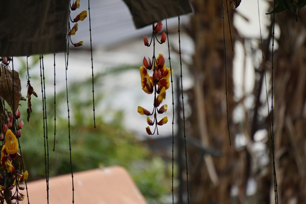 Mountain House Manizales Hotel Exterior photo